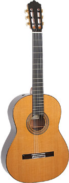 74 David Rubio Guitar