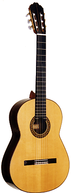 74 David Rubio Guitar