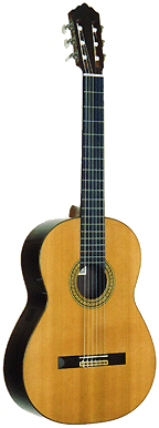 85 Robert Ruck Guitar